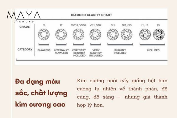 Độ sạch (Clarity) là gì?