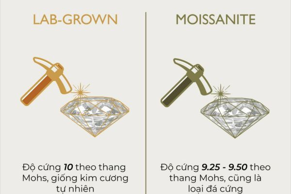 kim cương lab grown và moissanite