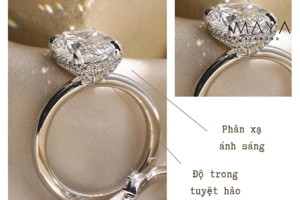 Ánh sáng tinh tế chuẩn công sở