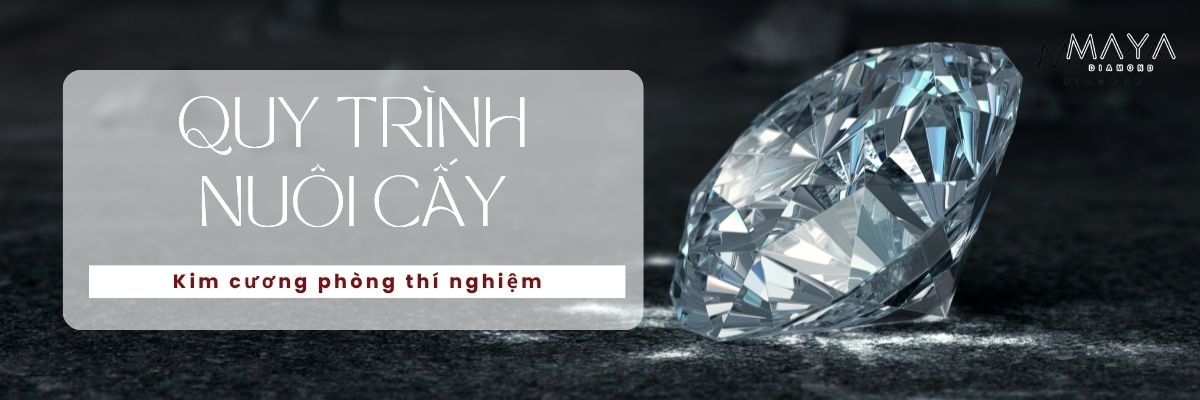 GIẢI MÃ QUY TRÌNH NUÔI CẤY KIM CƯƠNG TỪ PHÒNG THÍ NGHIỆM